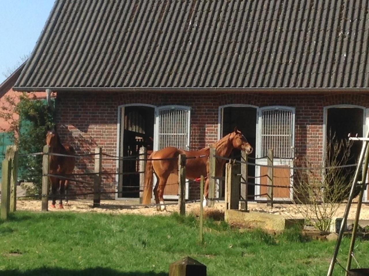 Gaestehaus Peerhus Doensel - Peerknecht Apartment Rehden Bagian luar foto